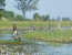 3-Day Full Catered Mokoro Safari Okavango Delta