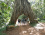 The Stargazer's Dream 5 Days Camping Safari