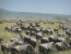 4 Days Camping Safari to Lake Manyara, Serengeti & Ngorongoro Crater