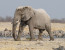 Classic Namibia Green Season Safari