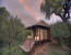 Ngala Tented Camp Safari Experience