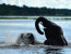 Mokoro Day trip 