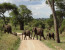  3-Day Authentic Selous Game Reserve