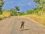 4 Days Joining Safari Tour Tanzania