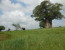 The Stargazer's Dream 5 Days Camping Safari