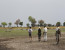 4 Days Botswana Walking Safari