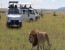 2 Days Ruma national park From Kisumu 