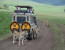 Serengeti Park and Ngorongoro Crater Safari-3 days