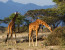 3 days Murchison Falls safari with Big 5 sightseeing