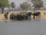 Hwange Camping Safari