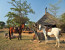 4 Day 3 Night Kwafubesi Tented Safari Camp, Bela Bela, Waterberg Region 