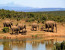 3-Day Akagera National Park Safari