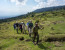 5-Day The Amazing Beautiful Rwanda Experience