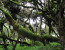 4 Days Trek in Bale Mountains National Park