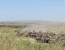 8 Days Great Wildebeest Migration - Mara River Crossing