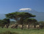 6-Day Kenya Wildlife Safari Tour