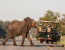 Affordable Botswana Experience