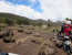 7 DAYS Mt.KILIMANJARO CLIMBING- UMBWE ROUTE