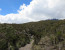 7 DAYS Mt.KILIMANJARO CLIMBING- UMBWE ROUTE