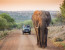 Leopard Mountain Game Lodge Safari Package