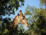 Sunset Safari Kruger