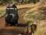 5 Days 4 Nights Ruaha Wildlife Lodge Safari
