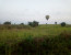 4-Days Murchison Falls Luxury Safari
