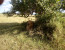 3 DAYS SAMBURU