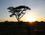3-days luxury safari in Serengeti & Ngorongoro