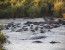 3-days luxury safari in Serengeti & Ngorongoro