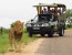 3 Day Best of Kruger Safari