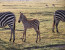 3-days luxury safari in Serengeti & Ngorongoro