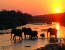 10 Day Cape town, Kruger & Victoria Falls Safari Package