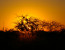 Pilanesberg to Kruger Tour