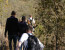 Pilanesberg to Kruger Tour
