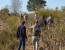 Pilanesberg to Kruger Tour