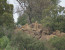 Pilanesberg to Kruger Tour