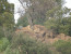 Pilanesberg to Kruger Tour