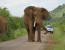 Pilanesberg to Kruger Tour