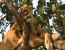 3 Days Queen Elizabeth National Park Safari