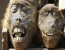  THE VOODOO NATIONS OF AFRICA EXPEDITION