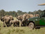 Daily Departures: 4 Day Masai Mara Camping Guided Safari From Nairobi