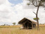 Amaizing Tanzania Serengeti Wildebeest Migration Special Family Safari.
