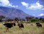 6 DAYS KIDEPO VALLEY NATIONAL PARK SAFARI TOUR