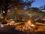 3 Day Pilanesberg Photography Tour