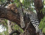 3 DAYS MAASAI MARA CAMPING SAFARI
