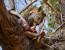 Tanzania Lodge Safari-6 Days itinerary with Tarangire, Lake Manyara & Eyasi, Serengeti & Ngorongoro Crater