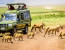 5 Days Tanzania Camping Safari (With Serengeti & Ngorongoro)