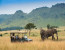 7 Days 6 Nights Best of Kenya Private Wildlife Safari 