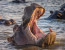 6 Days: Big Five & iSimangaliso Wetlands Photo 